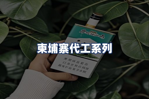 柬埔寨代工系列